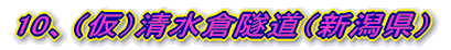 10、（仮）青海隧道（新潟県）
