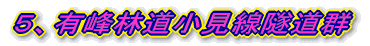 ５、有峰林道小見線隧道群