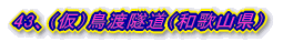 43、(仮)鳥渡隧道(和歌山県)