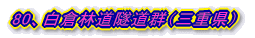 80、白倉林道隧道群(三重県)