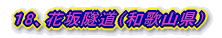 18、花坂隧道(和歌山県)
