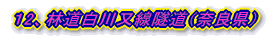 12、林道白川又線隧道(奈良県)