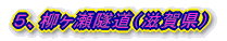 5、柳ヶ瀬隧道(滋賀県)