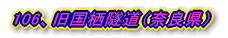 101、薬師石出し道隧道(滋賀県)