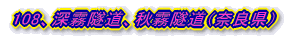 101、薬師石出し道隧道(滋賀県)